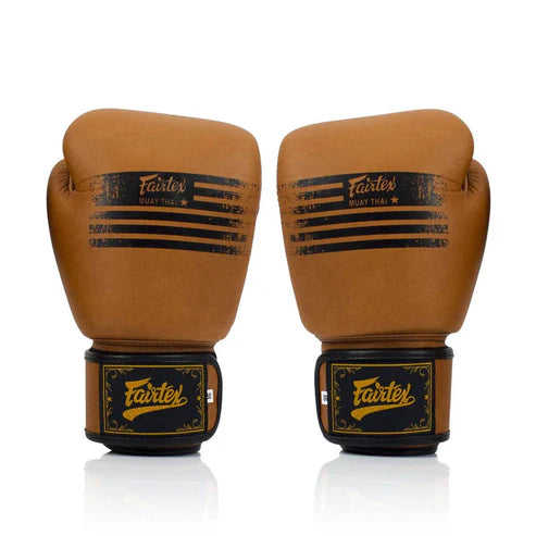Fairtex BGV21 Legacy Boxing Gloves